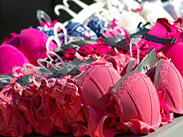 Hollywood actor posed as lingerie talent scout to get nudes: Lawsuit