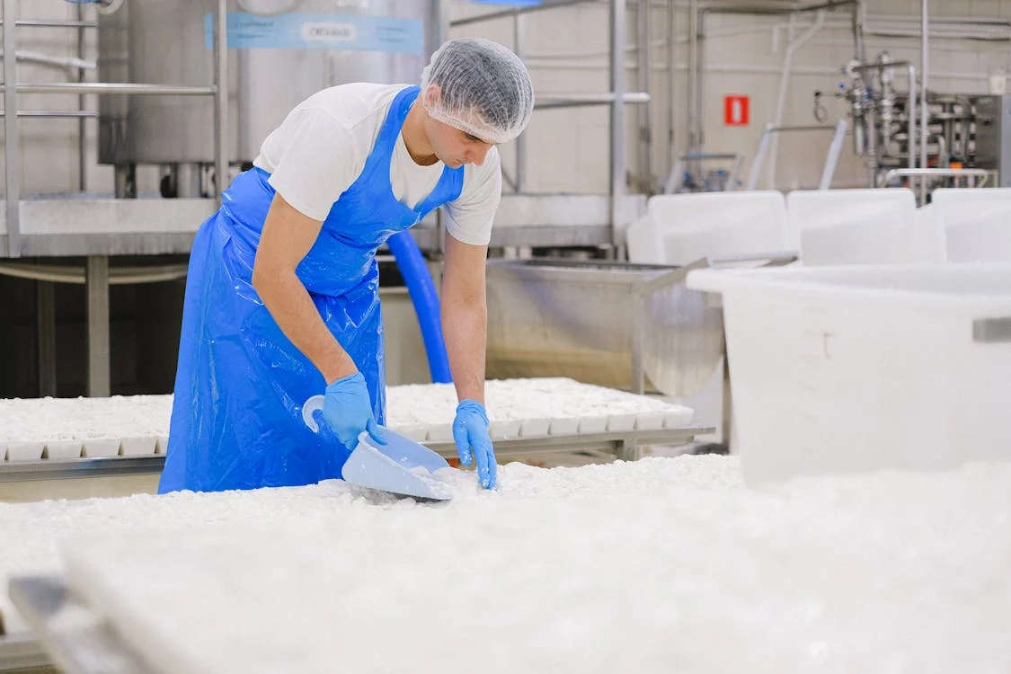 Algeria, Qatar to establish 3.5 bln USD worth milk powder production project