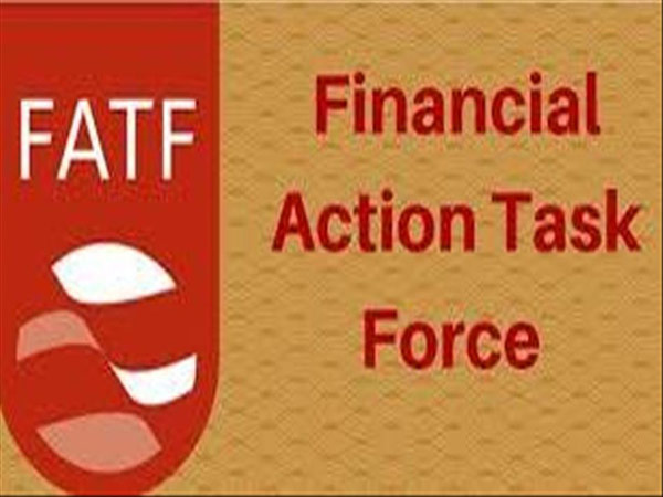 Pakistan wants US to get it off FATF grey list