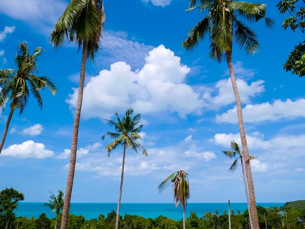 Fresh calls for bridge to Samui