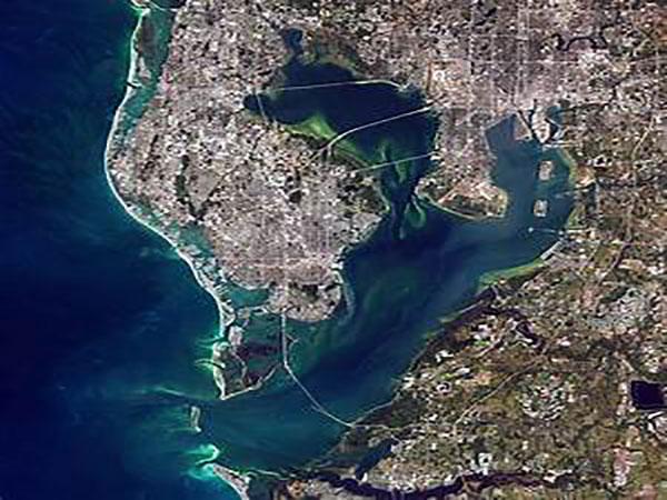 Tampa tops out at 99 degrees Fahrenheit, tying all-time heat record