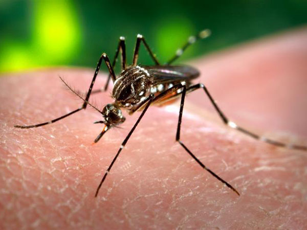 The 5 deadliest disease epidemics in the United States