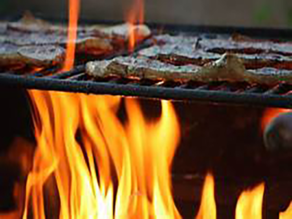 Here's what Americans prefer to grill - and how they grill it