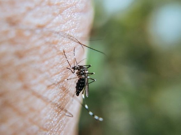 S. African health official urges people to be vigilant against malaria