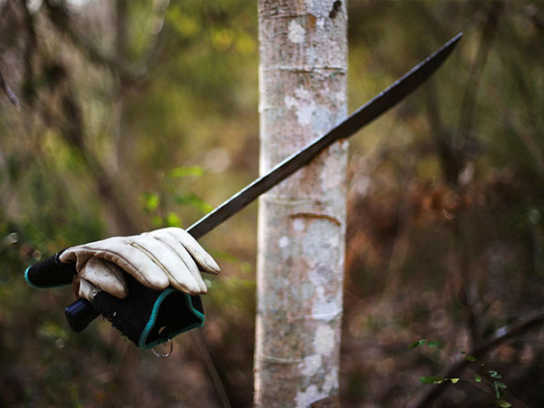 Florida woman charged in machete attack wanted to be with victim's wife: deputies