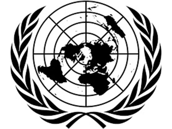 UN organization's conference kicks off in UAE to boost industrial development