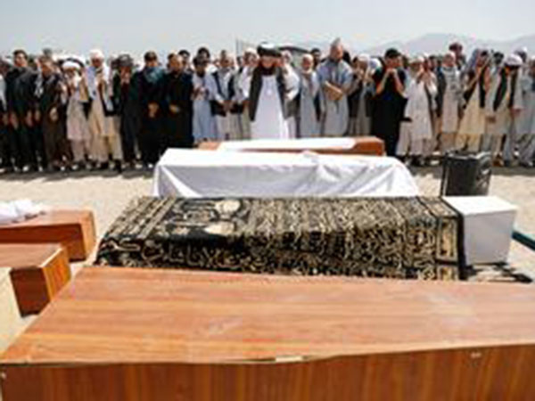 UAE condemns 'cowardly' Kabul wedding attack
