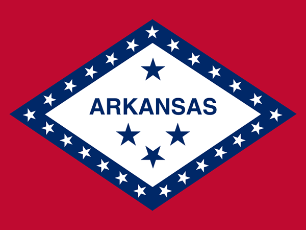 Ex-aide pleads guilty to murder of conservative Arkansas state senator Linda Collins