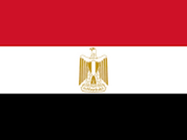 Egypt counts on COP27 to push developed countries to meet climate financial commitments