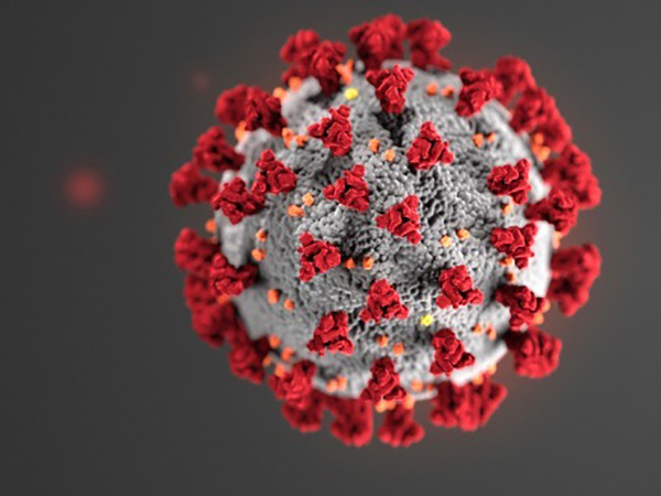 Humans are mutating COVID-19 virus, but it is fighting back, scientists say