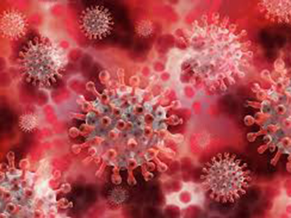 Coronavirus restrictions in place in Moscow unpleasant but effective, says mayor