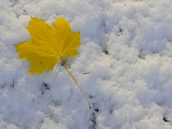 Freezing rain warning lifted for Ottawa, Pembroke, Ont.