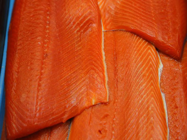 N.B. seafood giant vows change after hidden camera shows 'unacceptable' treatment of salmon