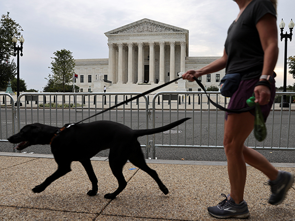 Pet owners cancel plans to spend time with dogs, cats instead, Pet Census finds