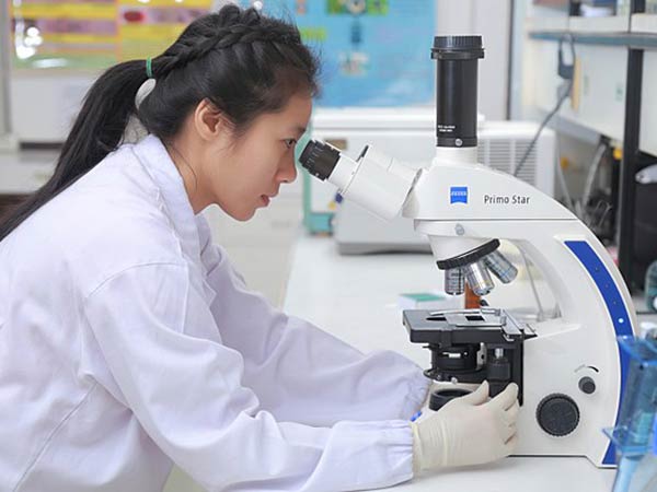 Russian, Japanese scientists discover how COVID-19 affects red bone marrow