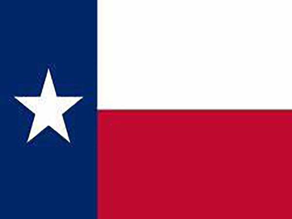 "Texas couple dies from coronavirus while holding hands, family says: 'Off to a better place'