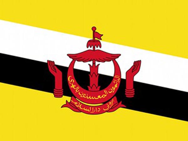 Brunei's Ministry of Energy abolished
