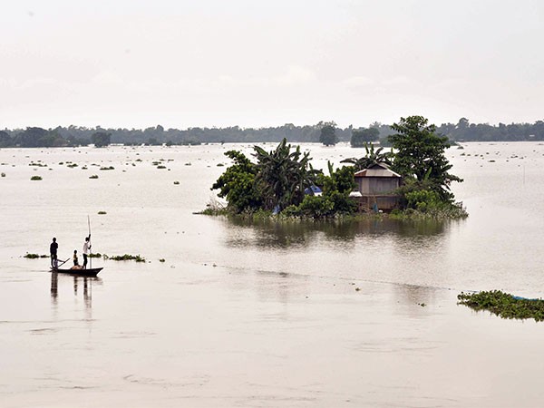 Huge amount of debris chokes river in Bosnia-Herzegovina after floods