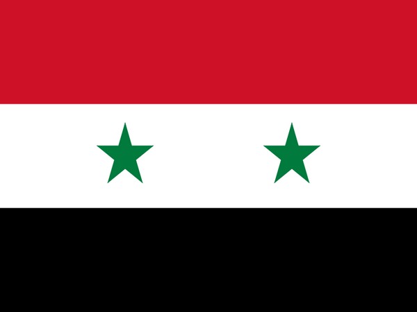 Arab Parliament, AL condemn Israeli airstrikes near Syria's Presidential Palace