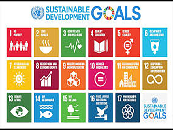 Pakistan needs $234.5bn to achieve key SDGs