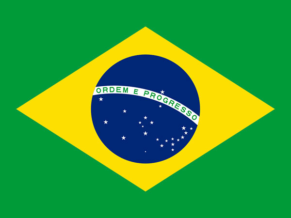 Brazil to sign letter of intent on potential purchase of Russian COVID-19 vaccine