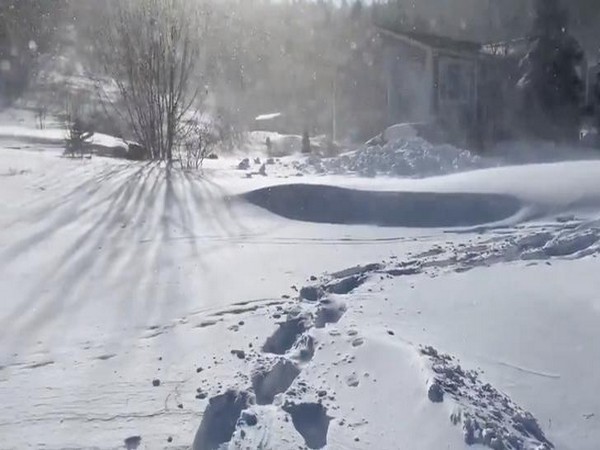 Federal government approves N.L.'s request for assistance, including army mobilization, following blizzard