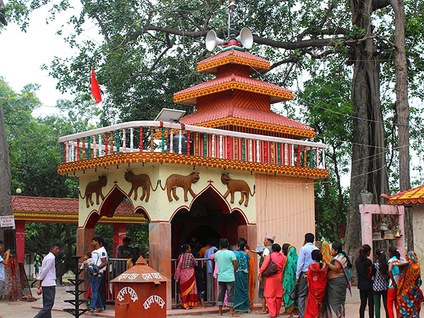 Ritual sacrifice at Gadhimai shrine begins, photos barred