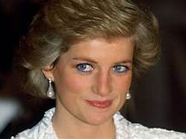 Prince Harry, Prince William to split Princess Diana's memorial fund for charities: report