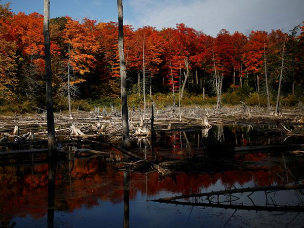Gatineau Park to close Monday night