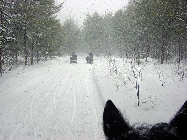 Here's what's closing Thursday for this massive winter storm