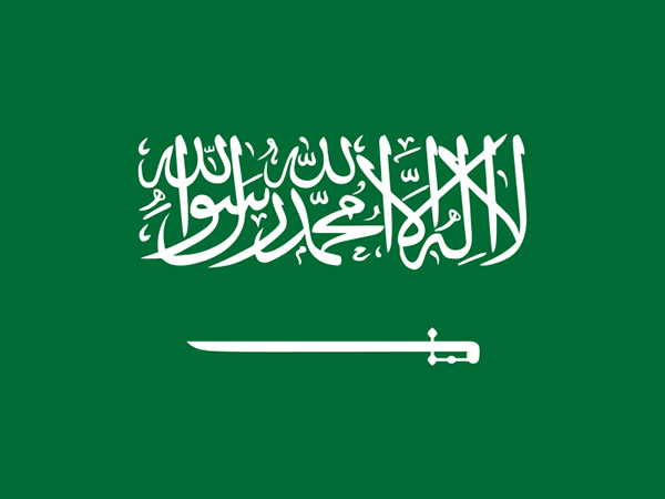 Saudi Arabia calls upon citizens to 'boycott everything Turkish' following Erdogan's controversial statement