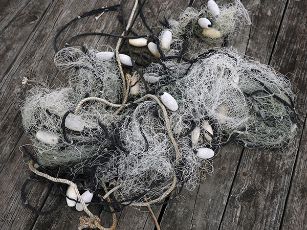 What is ghost fishing and why is it killing dolphins, whales and turtles?