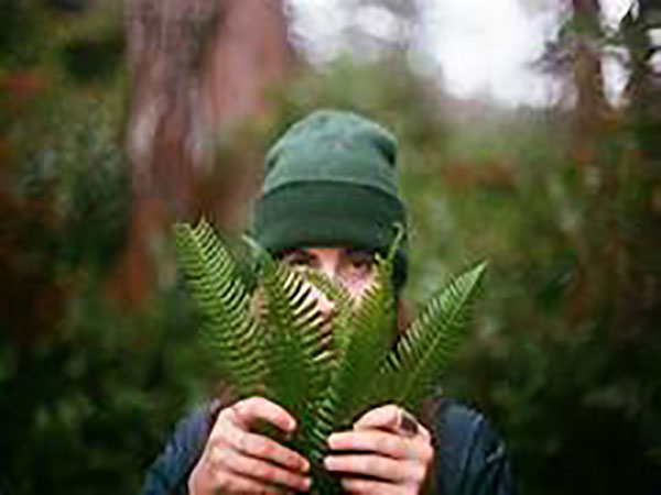 What is an eco-therapist and how can plants heal us?