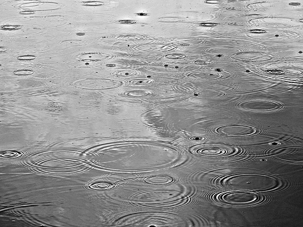 S.Korea's death toll from heavy rain rises to 30, with 12 missing
