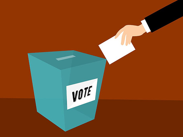 Elections Canada probing thousands of 2019 election ballots with unclear evidence of citizenship