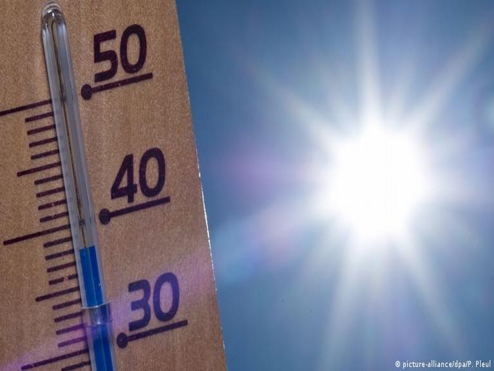More than 800 heat-related deaths in Germany so far in 2026