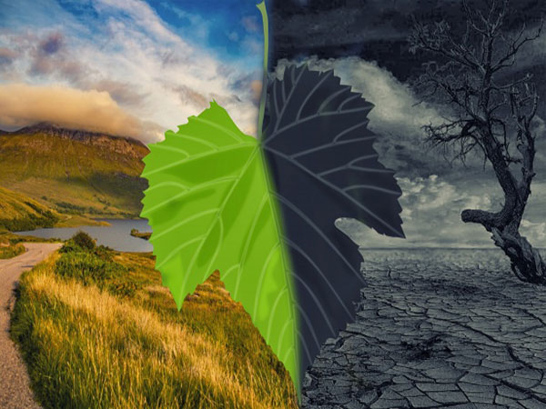 Global economy most vulnerable to climate change, says risk perception survey