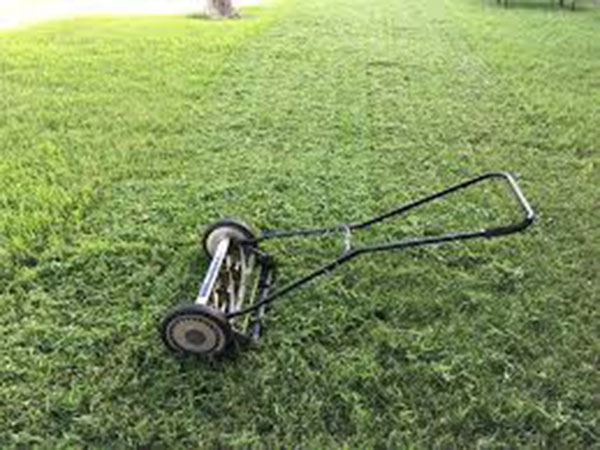 Greatest show on turf: 12-hour lawnmower endurance race