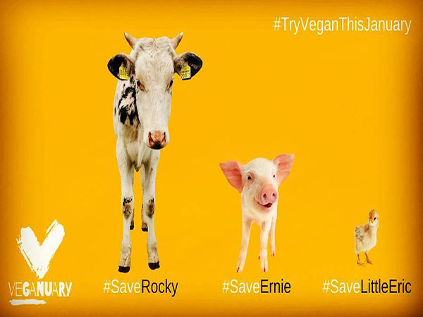 It's called Veganuary - Going vegan is a trendy new year's resolution