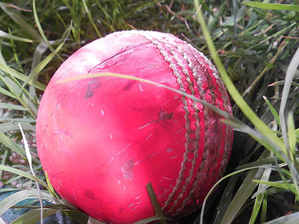 Bangladesh elect to bat first in pink ball Test