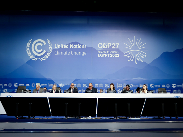 S. Africa welcomes COP27 outcomes
