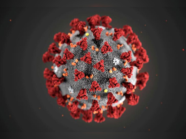 Coronavirus disruption to 'everyday' life in US 'may be severe,' CDC official says