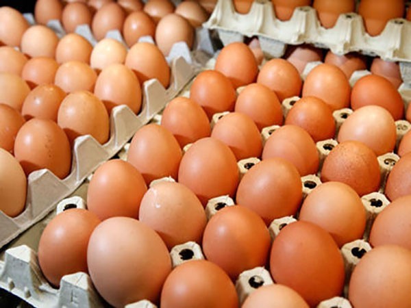 Temporary increase in egg, poultry prices aims to ensure balanced merchant-consumer relationship: Ministry of Economy