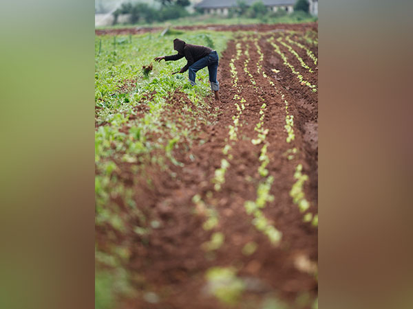 What is land inequality and how does it threaten women?