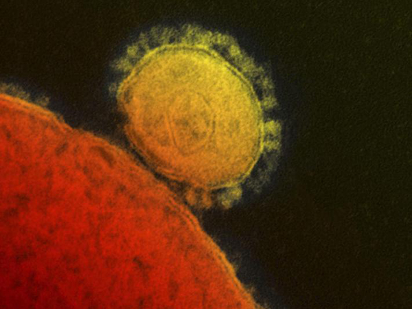 How prepared is Bangladesh to tackle the coronavirus?