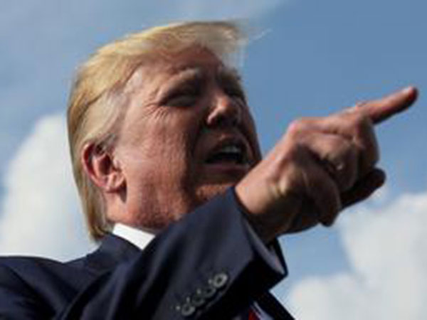 Trump confirms Pence as 2020 running mate