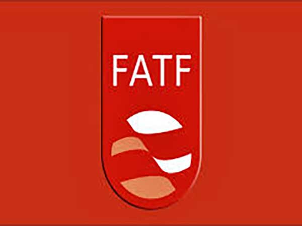 Parliament okays another FATF-related law