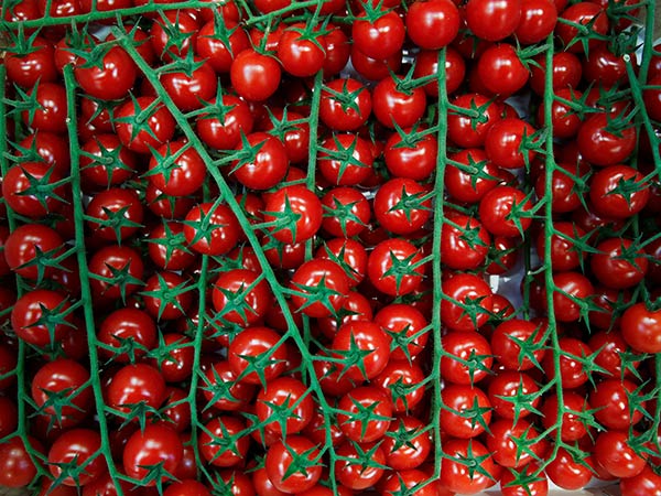 Vegetable prices jump as shortages increase
