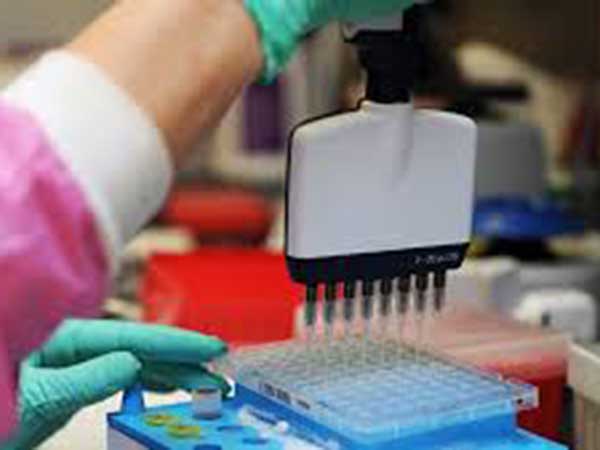 Global coronavirus recoveries cross 10 million