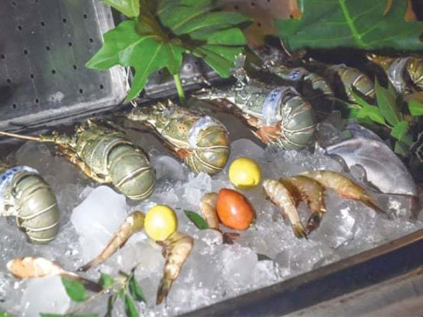 Karachi enjoys the catch of the day at Casbah's Seafood Festival